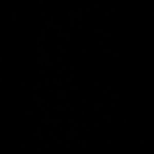 Meet your Posher, Kaitlin